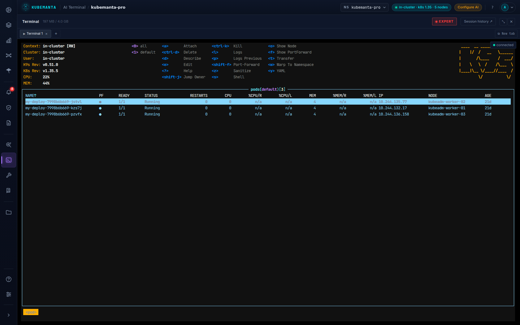 k9s + kubectl, in your browser